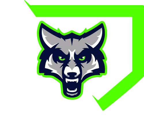 Timpanogos Baseball Diamond Logo